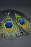 Peacock Feather Drop Earring